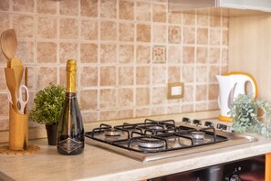 Full-sized fridge, oven, stovetop, electric kettle
