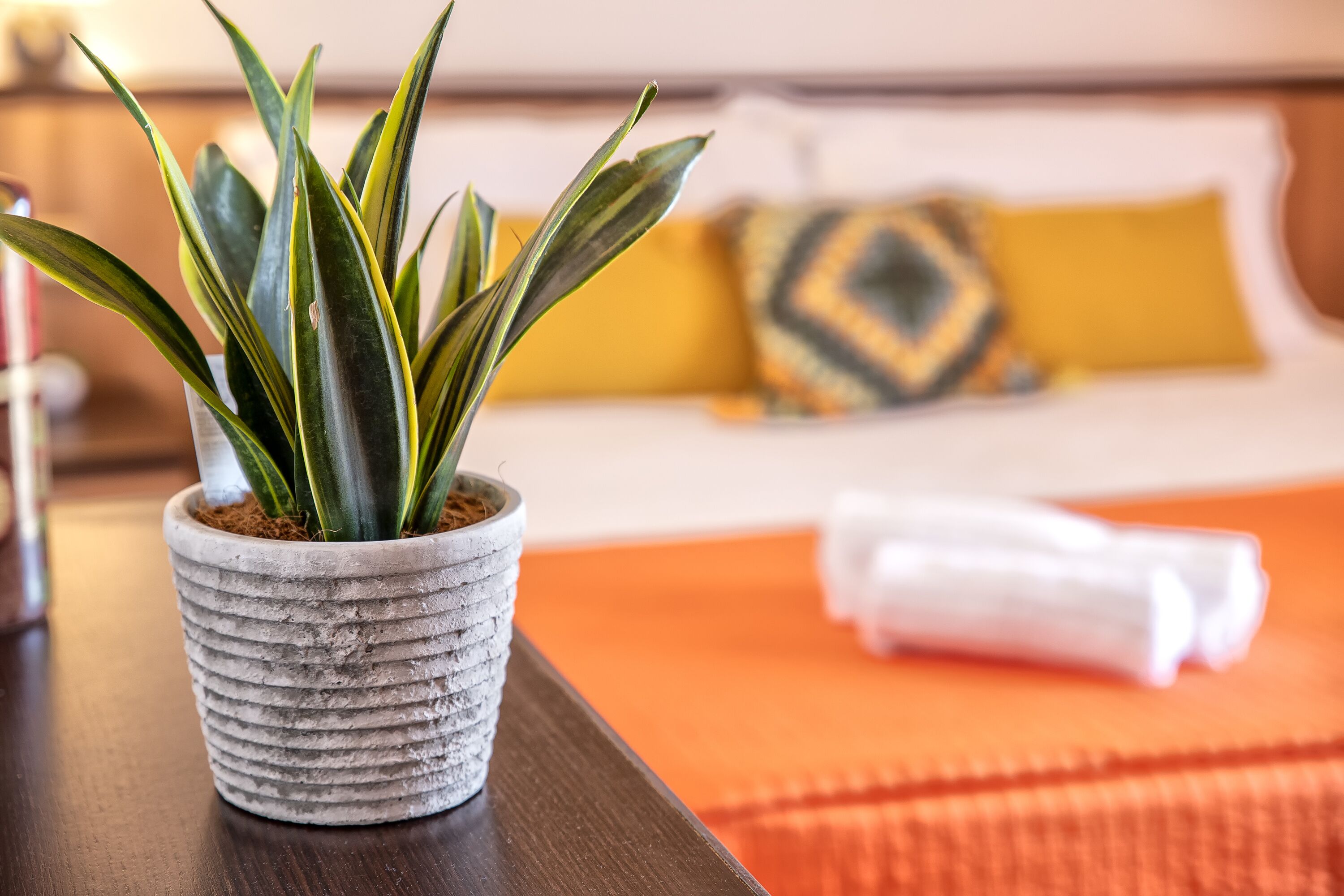 A potted plant on a wooden table in a hotel room with a bed and a yellow pillow in the background.