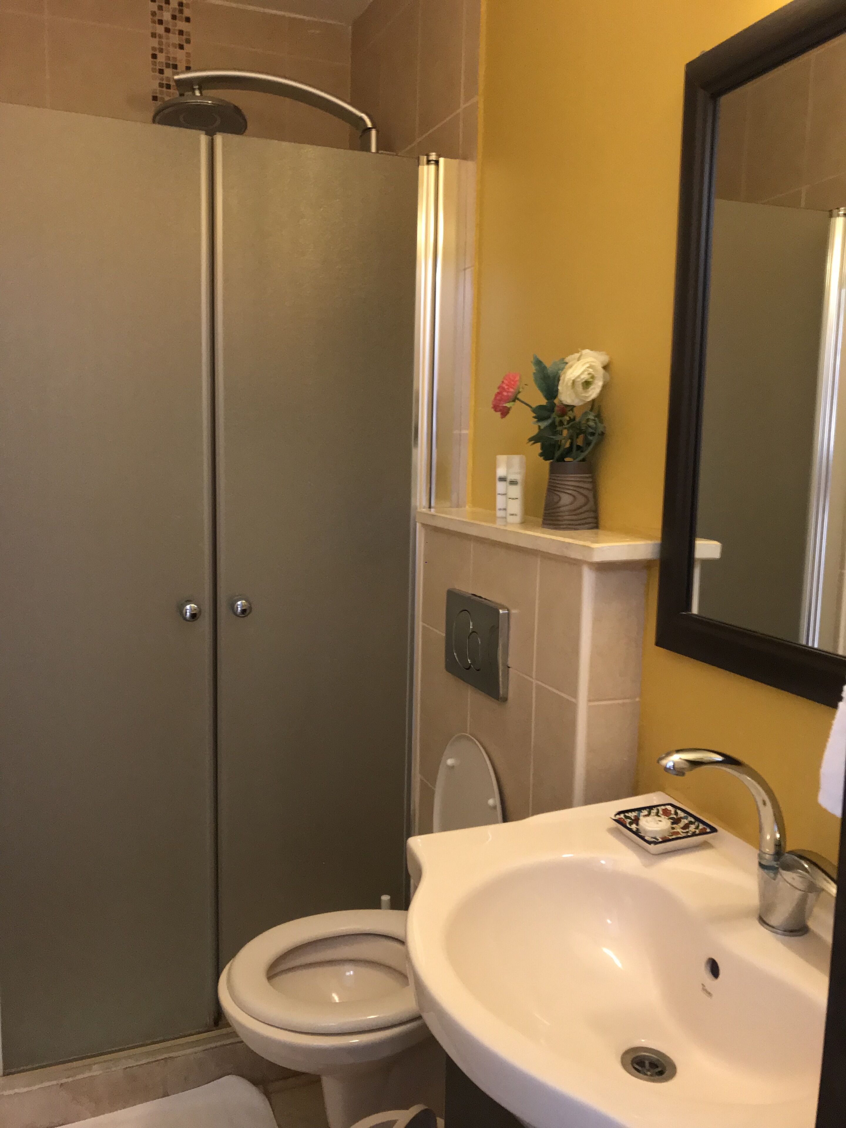 Une salle de bain équipée d’une douche, de toilettes, d’un lavabo et d’un miroir.
