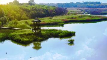 A tranquil riverside scene with a gazebo.