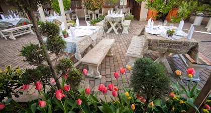 Hotel Szárcsa
