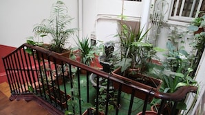 Una escalera con barandilla de madera, rodeada de plantas en macetas.