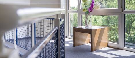 A modern interior with a wooden side table, a vase with flowers, and a view of greenery through large windows.