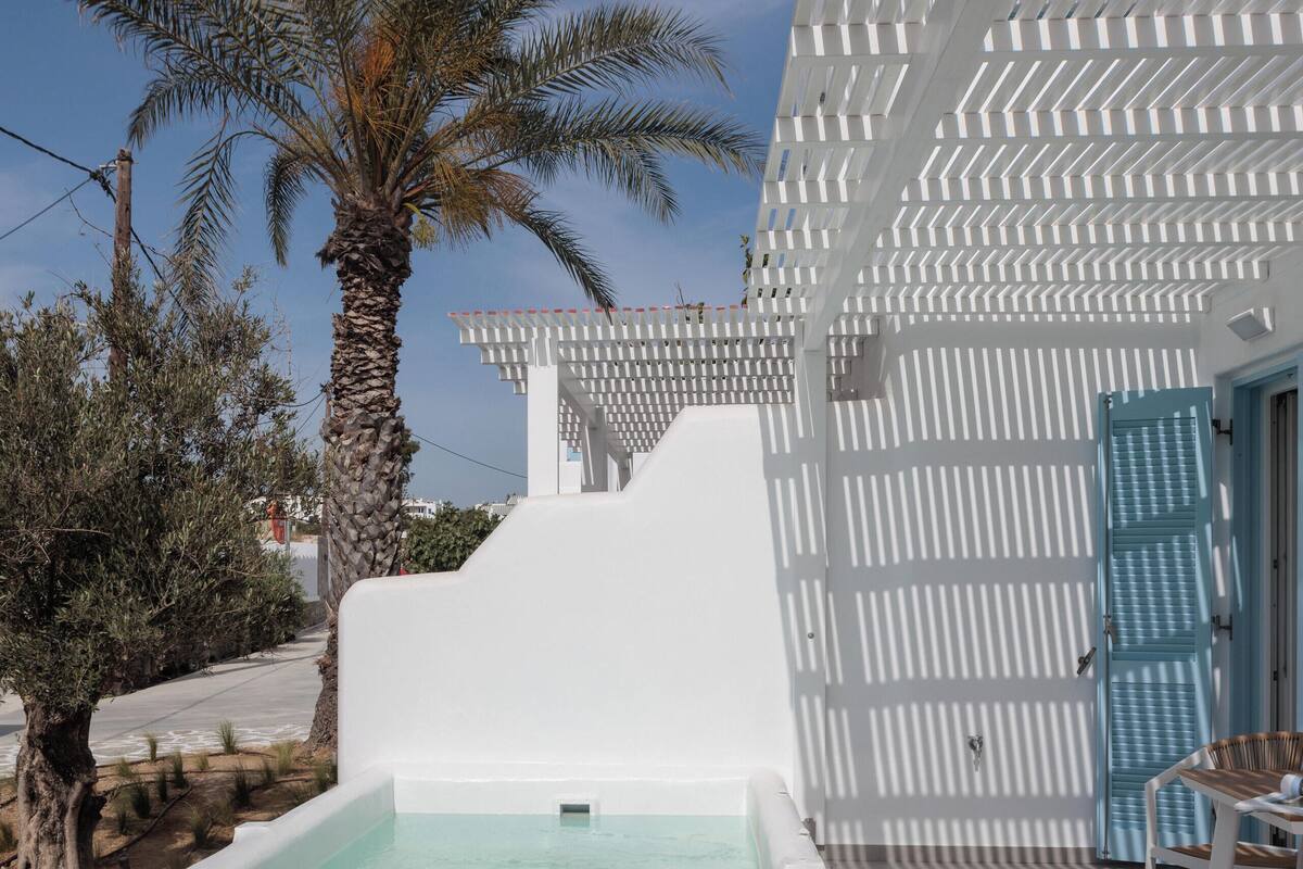 A white pool with a stone border, a palm tree, and a white building with a blue door.