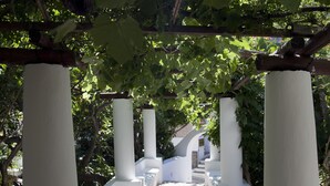 Un sendero de piedra bajo una pérgola con pilares blancos y enredaderas cubriendo la estructura.