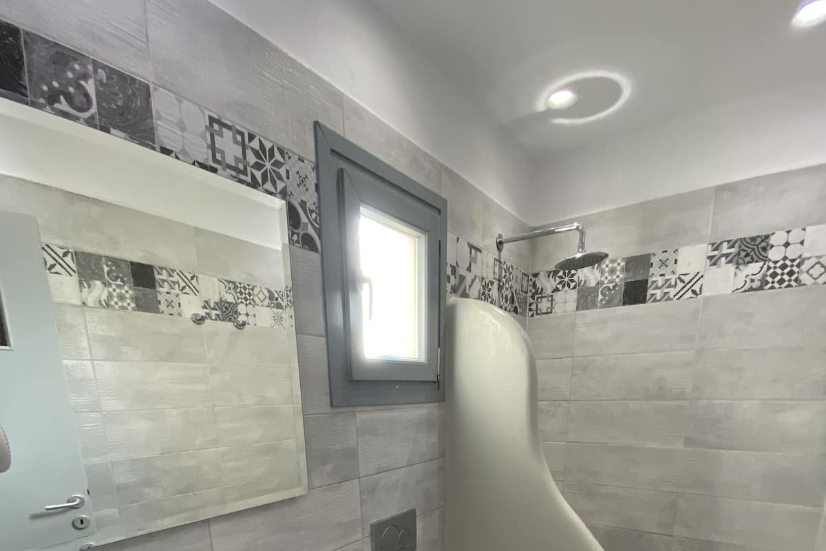 Shower, hair dryer, towels, shampoo