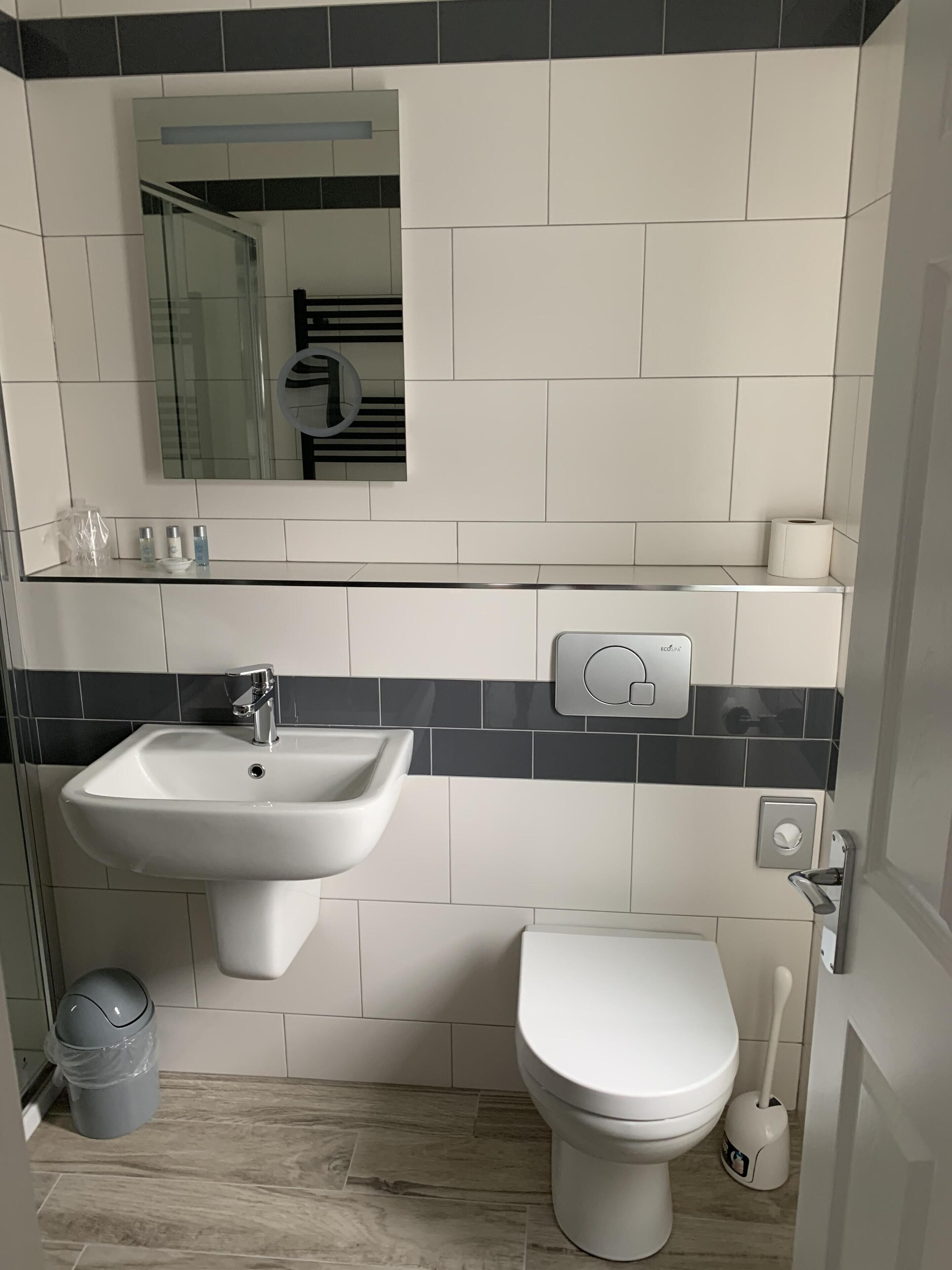 A modern bathroom with a white sink, toilet, and a mirror above.