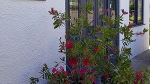A building with a sign reading "Hensleigh" and a window with a decorative glass design. - Hensleigh House (Bridport)