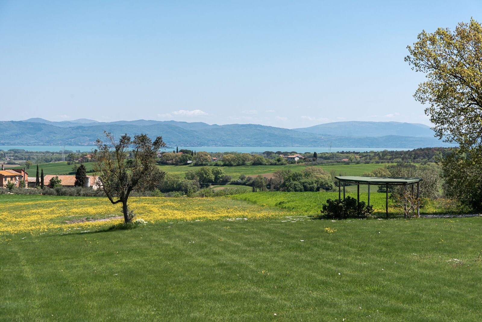 Ein grünes Feld mit einem Pavillon und einem Baum, eine ferne Bergkette und ein Gewässer.