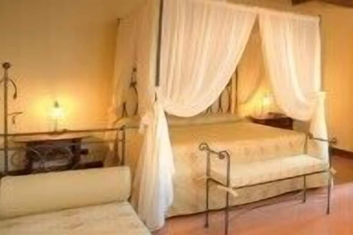 Une chambre à coucher avec un lit à baldaquin, une commode en bois et un miroir.