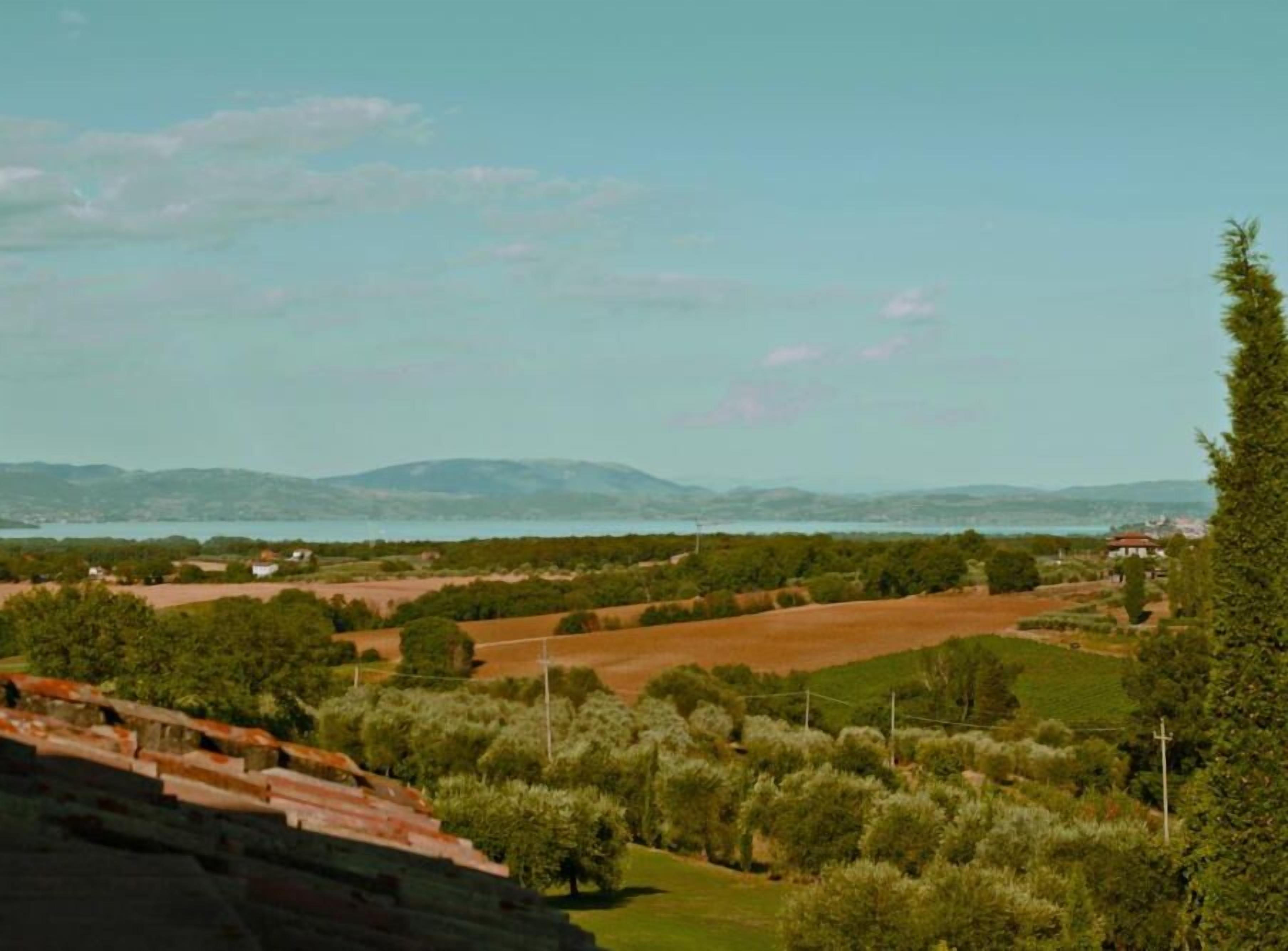 Un paisaje rural con campos, árboles y montañas distantes.