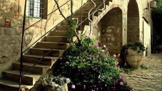 A stone building with a staircase leading to an upper level, surrounded by greenery and potted plants. - Casa Migliaca (Pettineo)