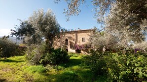 A rustic stone building surrounded by lush greenery and trees. - Casa Migliaca (Pettineo)