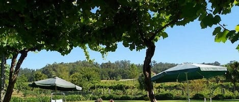 Alberca al aire libre por temporada 