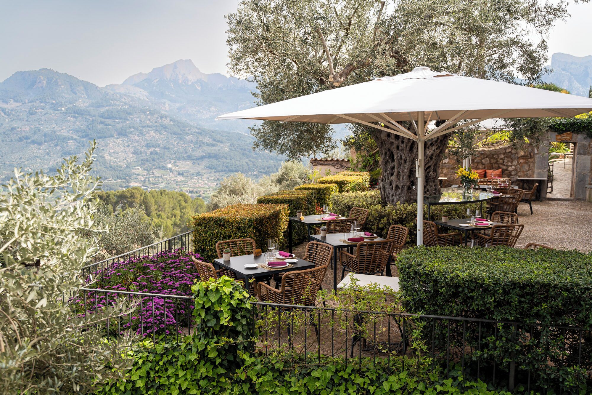 Un área de comedor al aire libre con mesas y sillas, rodeada de vegetación y con vistas a un paisaje montañoso.