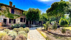 A stone pathway leading to a rustic building with ivy-covered walls and a large tree in the center. - LaChiusa Tuscany (Torrita di Siena)