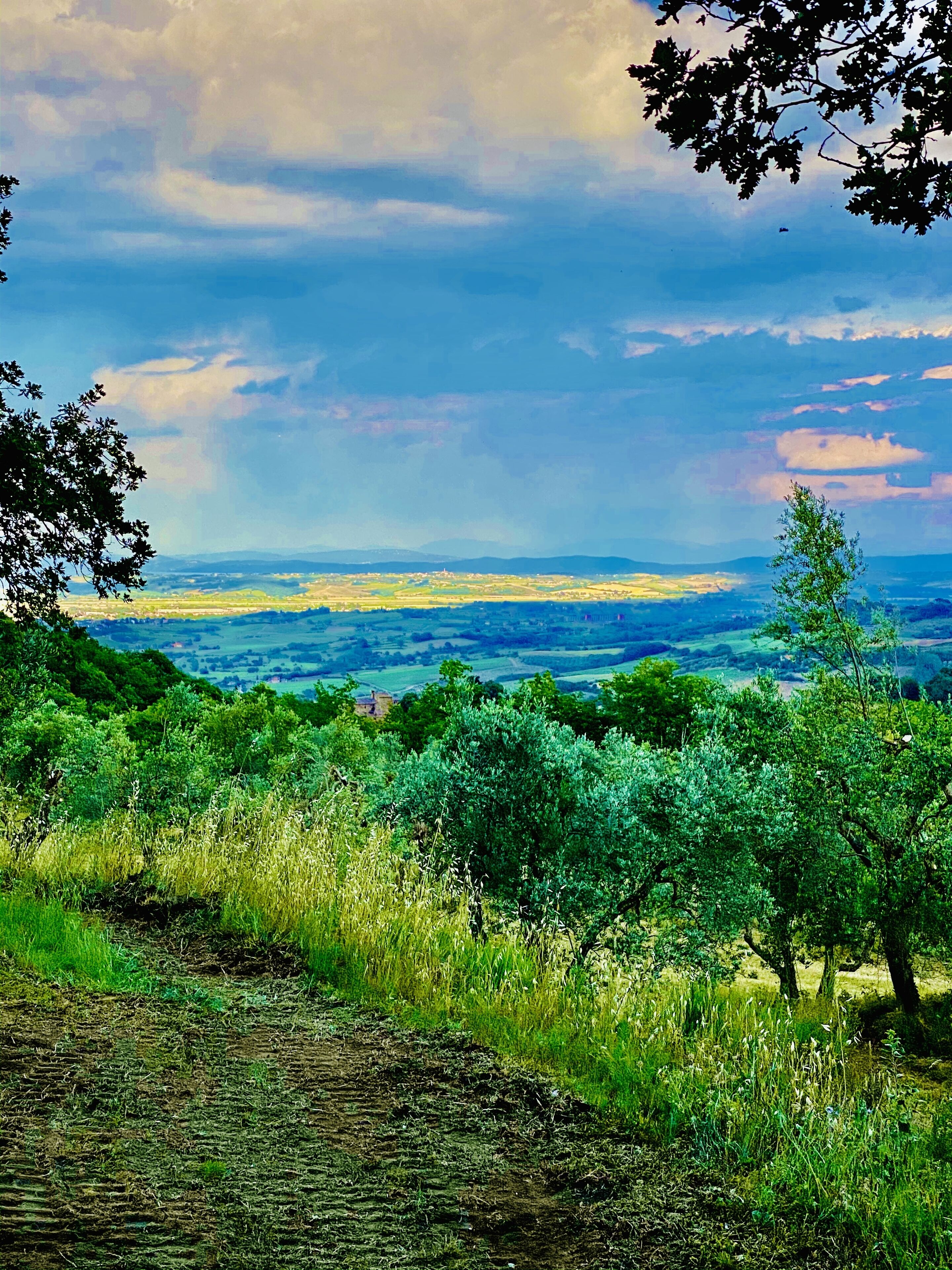 standard double room, 1 queen bed, courtyard view | view from room