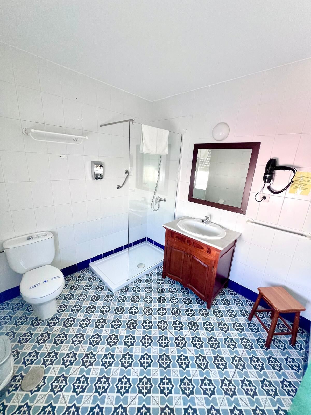 Une salle de bain avec des toilettes blanches, un lavabo avec un meuble en bois, une douche en verre et un carrelage bleu et blanc à motifs.