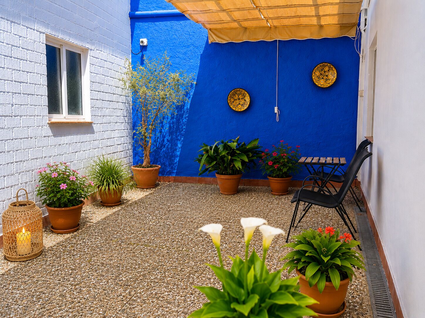 Un patio con plantas en macetas, una silla, una mesa y un muro con fachada azul.