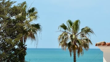 A coastal view with a clear sky, a palm tree, and a building with terracotta roof tiles.