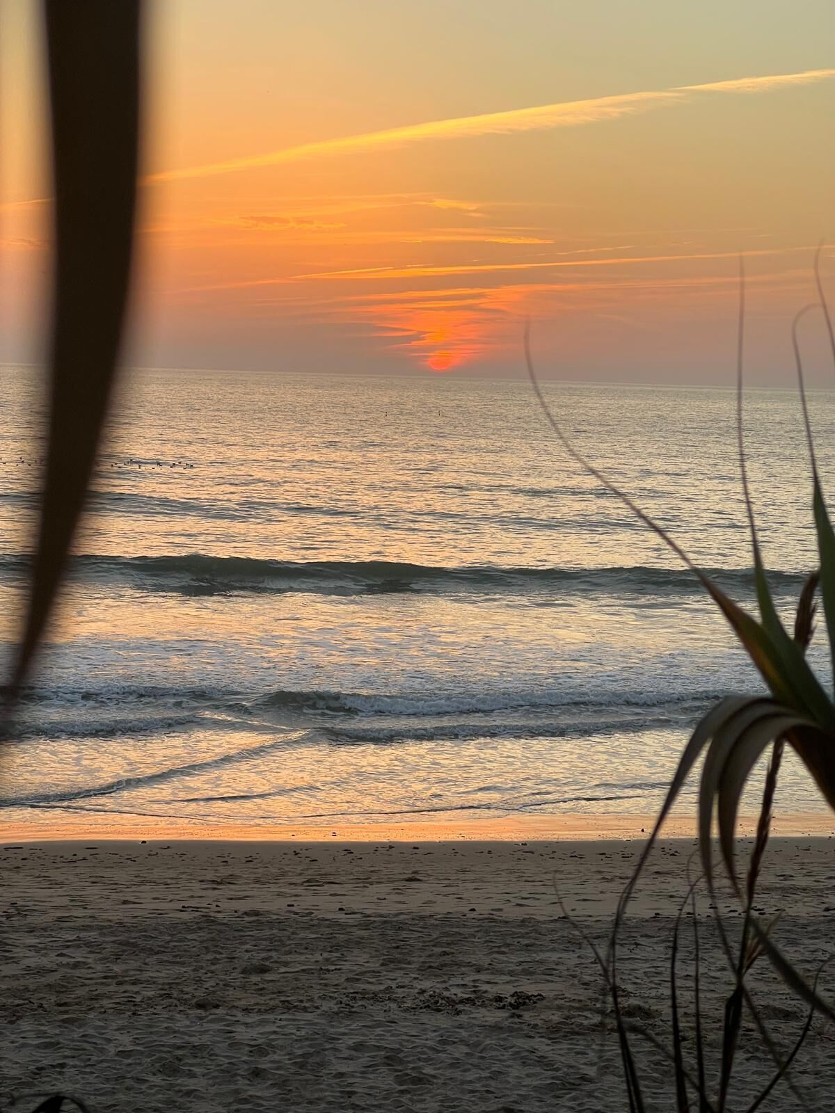 Une scène de plage avec des vagues et un coucher de soleil.