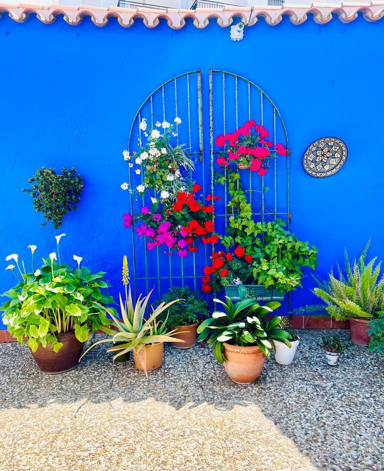 Foto - Hostal El Faro