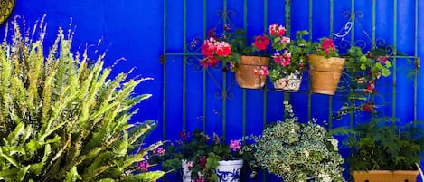 Camera Economy | Cortile
