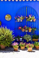 Economy Room | Courtyard