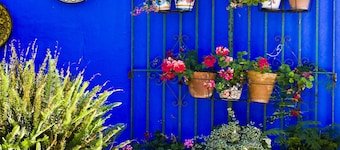 Hostal El Faro