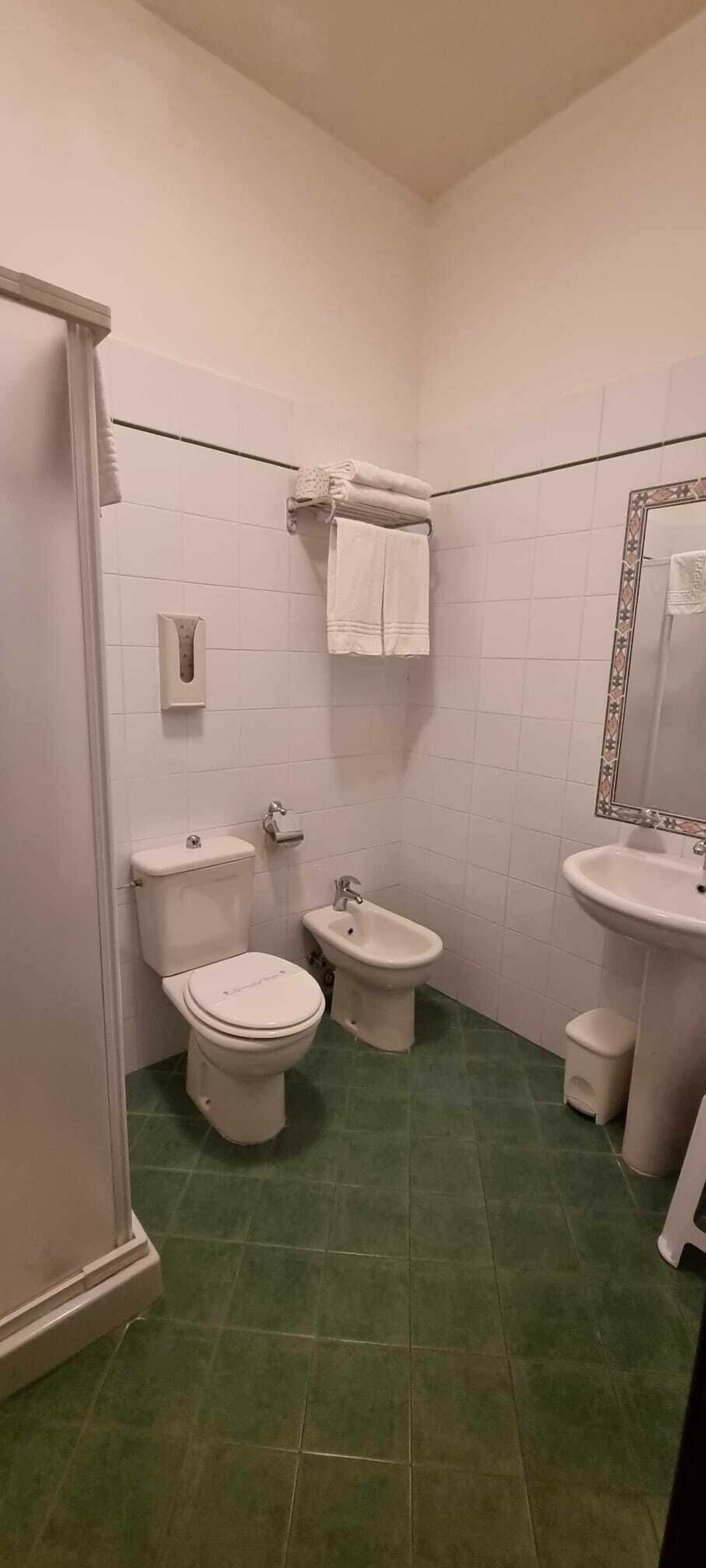 economy double room | bathroom | shower, free toiletries, bidet, towels