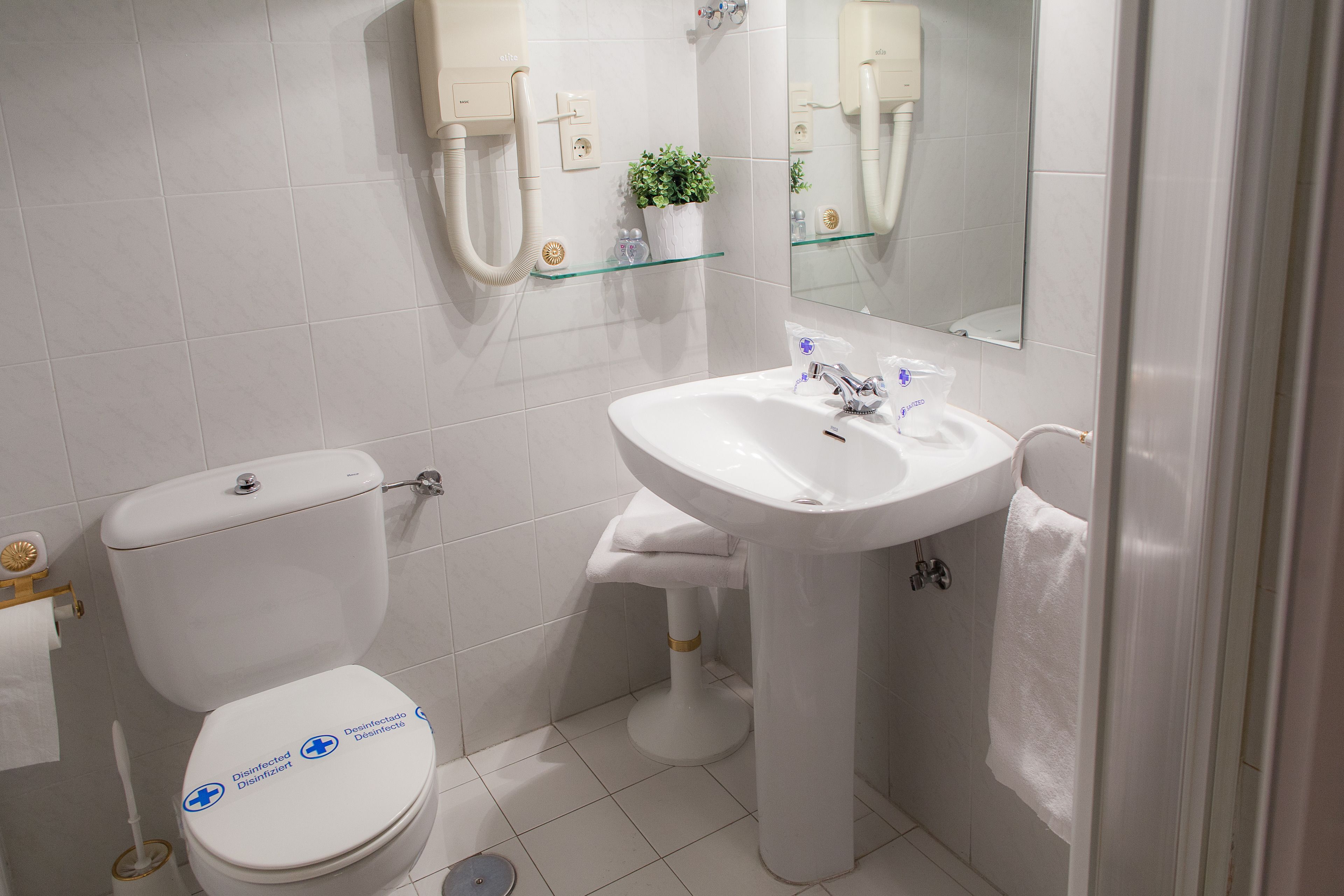 Foto - Miguel De Cervantes