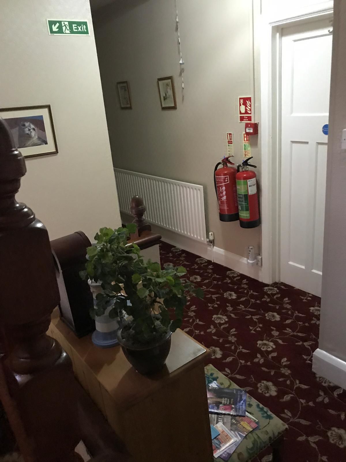 Ein Flur mit einer hölzernen Bank, einem Blumentopf, gerahmten Bildern an der Wand, einem Heizkörper und einem an der Wand befestigten Feuerlöscher.