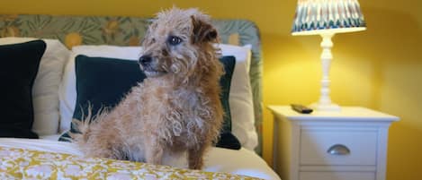 Un perro sentado en una cama con ropa de cama estampada, una mesita de noche con una lámpara y una pared con diseño floral.