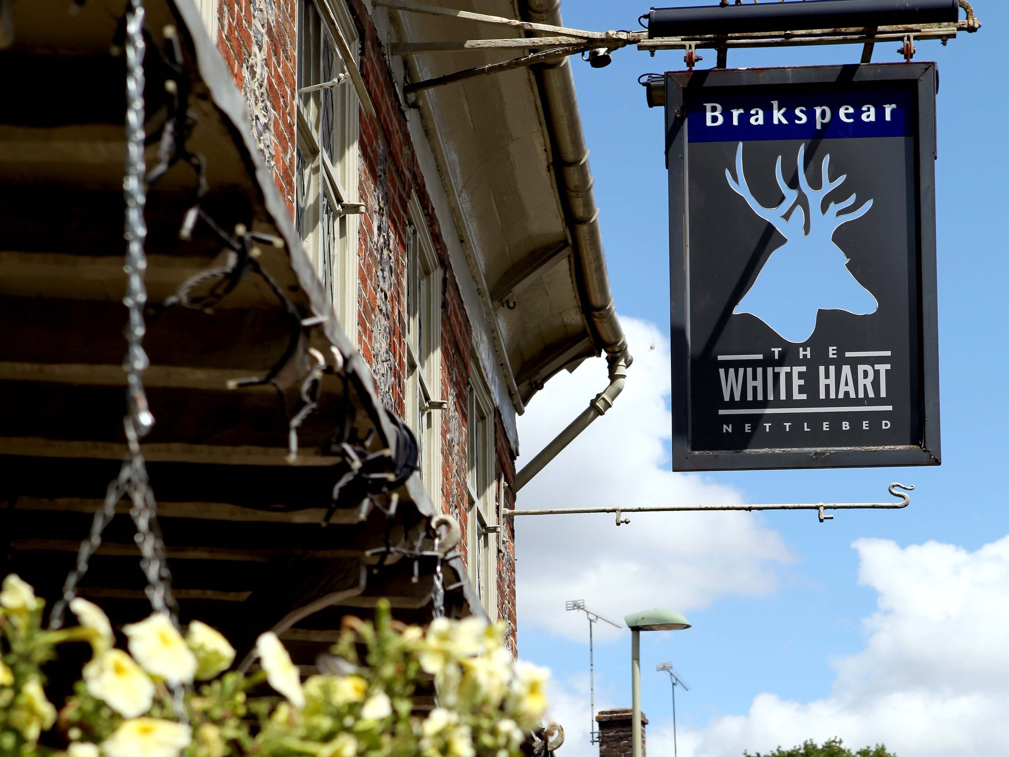 Une enseigne pour le pub Brakspear The White Hart, situé à Nettlebed.