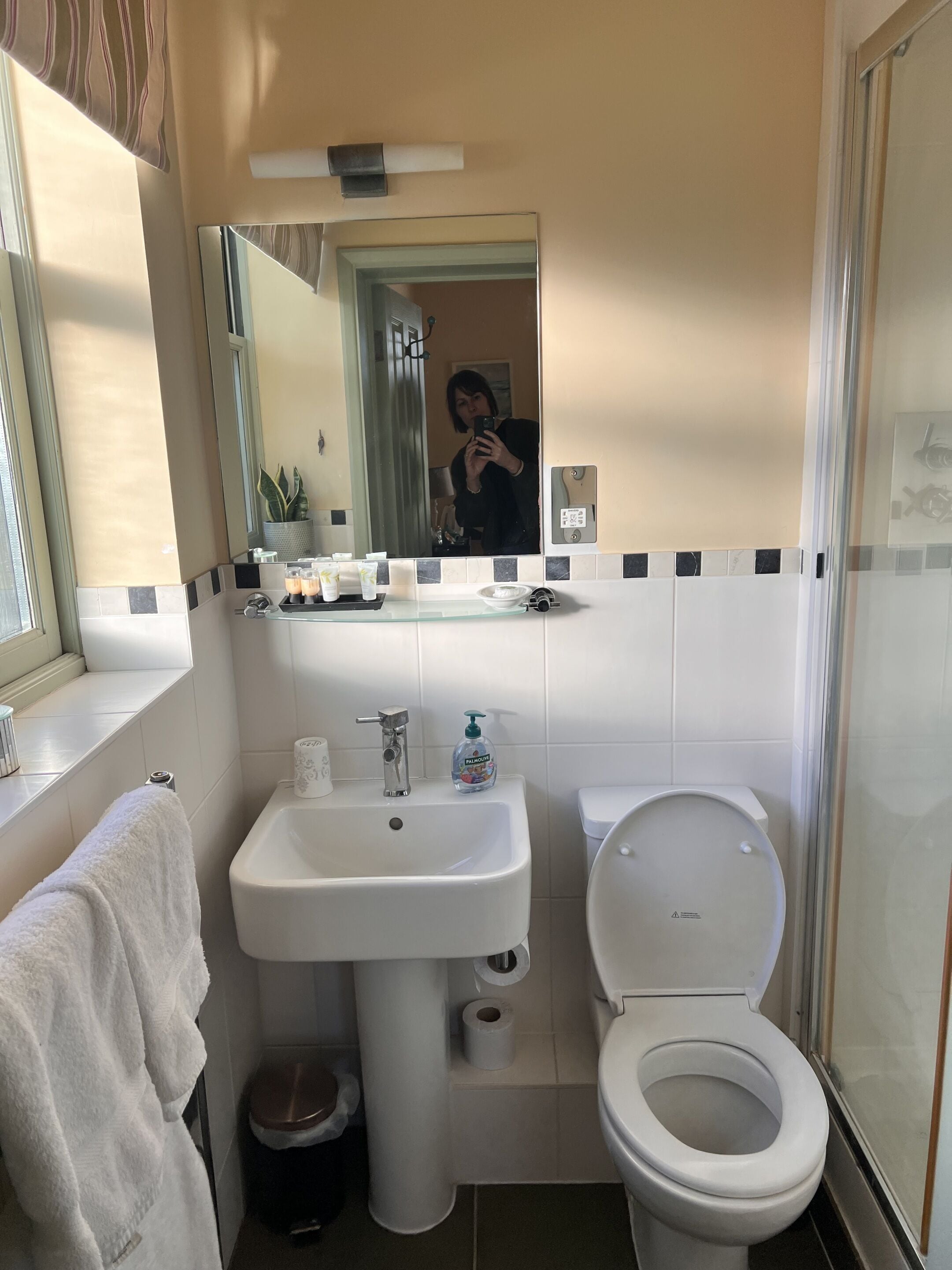 A bathroom with a sink, toilet, and mirror.