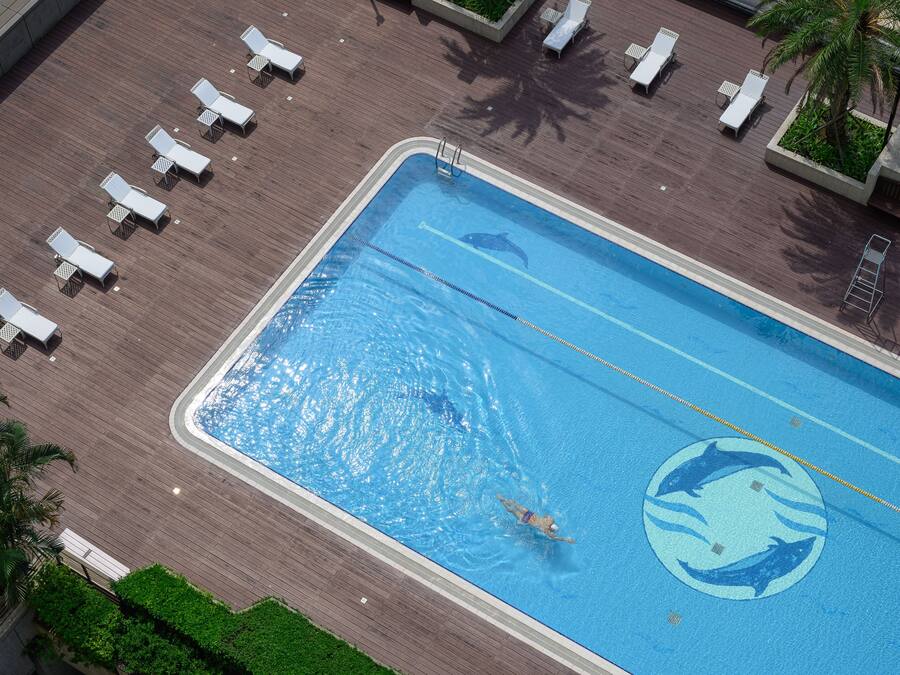Vista aérea de una piscina con un logotipo de delfín, rodeada de sillas de descanso y palmeras.