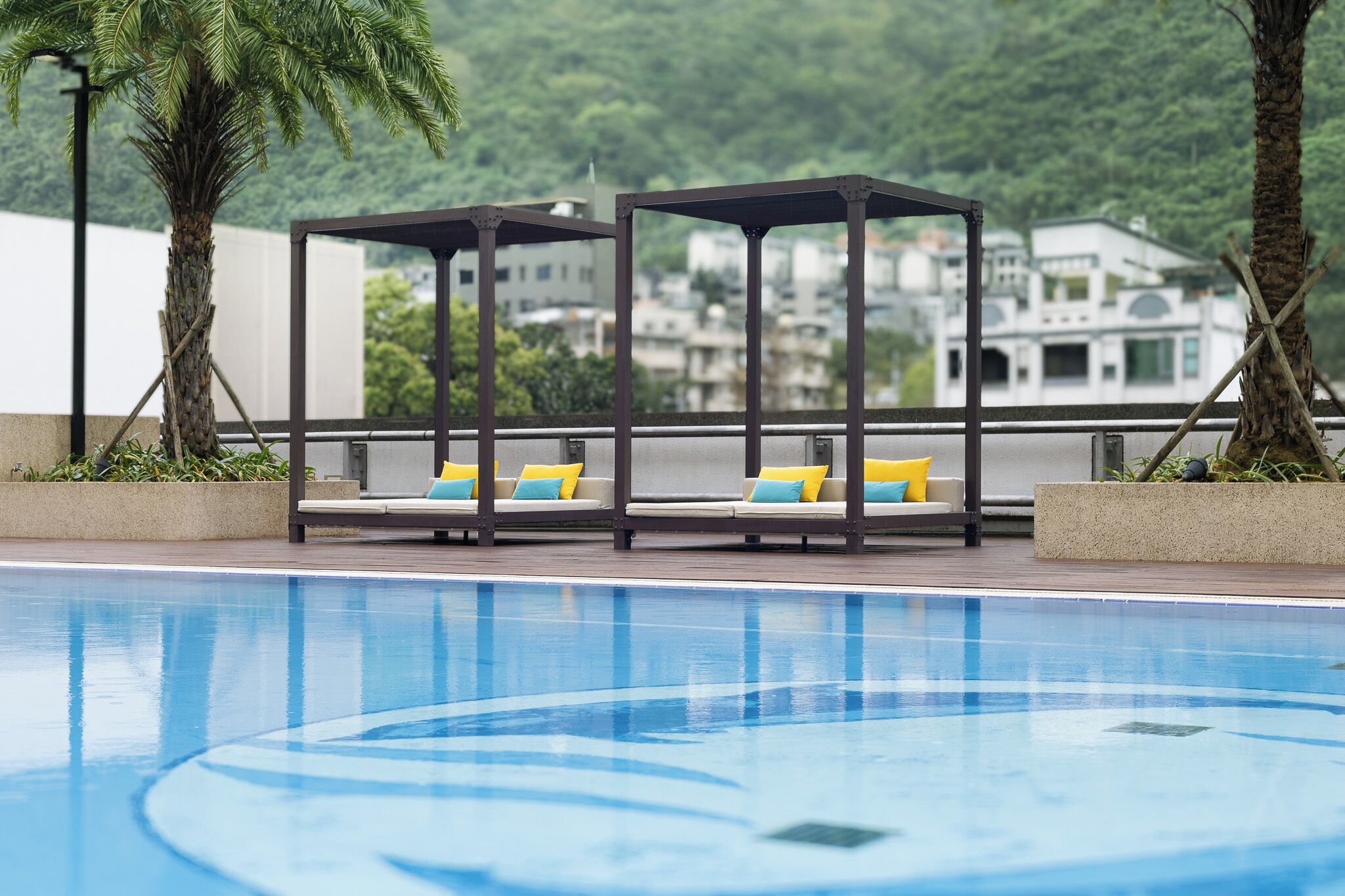 A poolside area with two sun loungers and a palm tree.