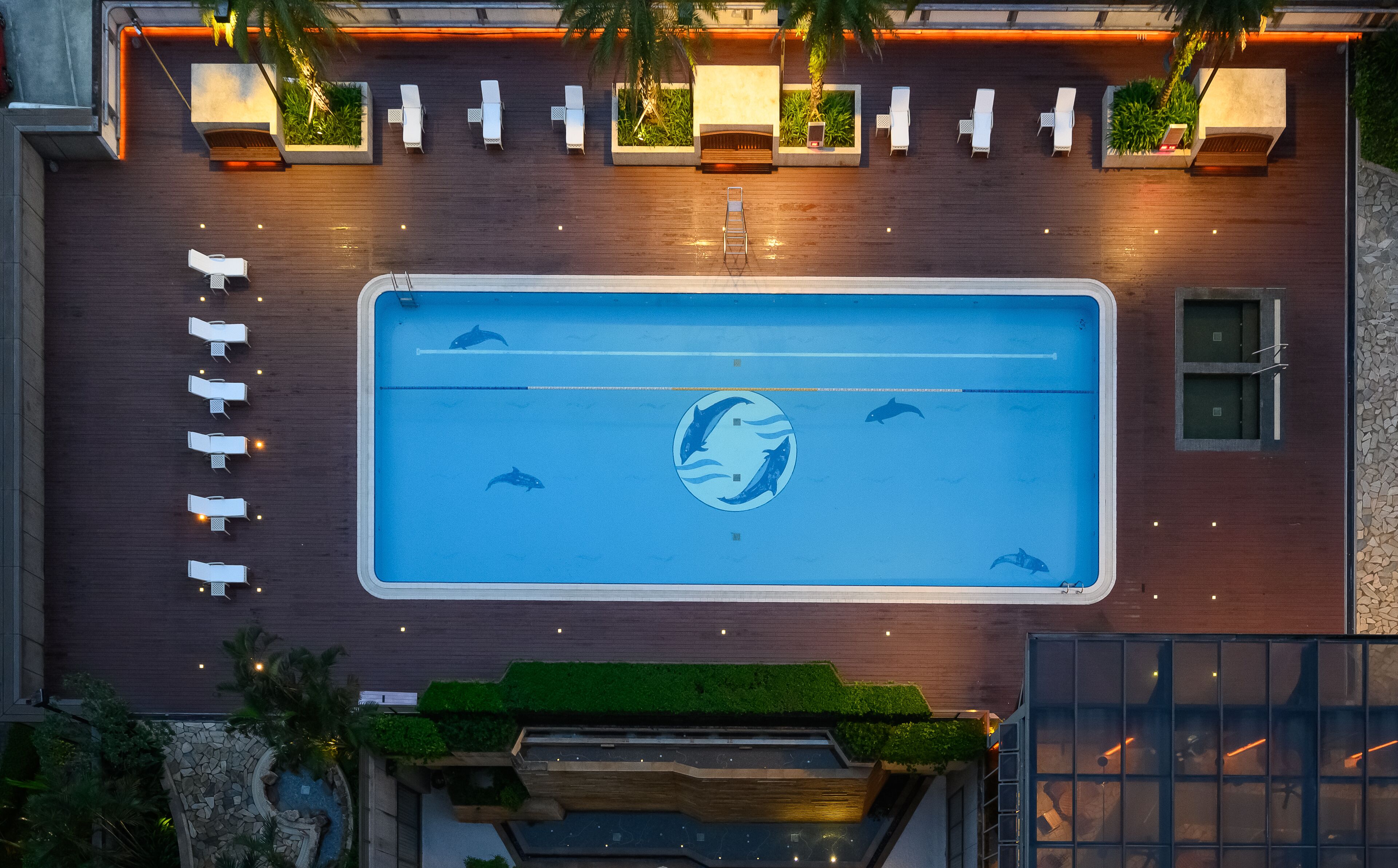 Luftaufnahme eines Schwimmbeckens mit Liegestühlen und einem Delfin-Mural.
