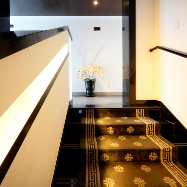 Una escalera con alfombra estampada, una planta en maceta y un diseño de interiores moderno.