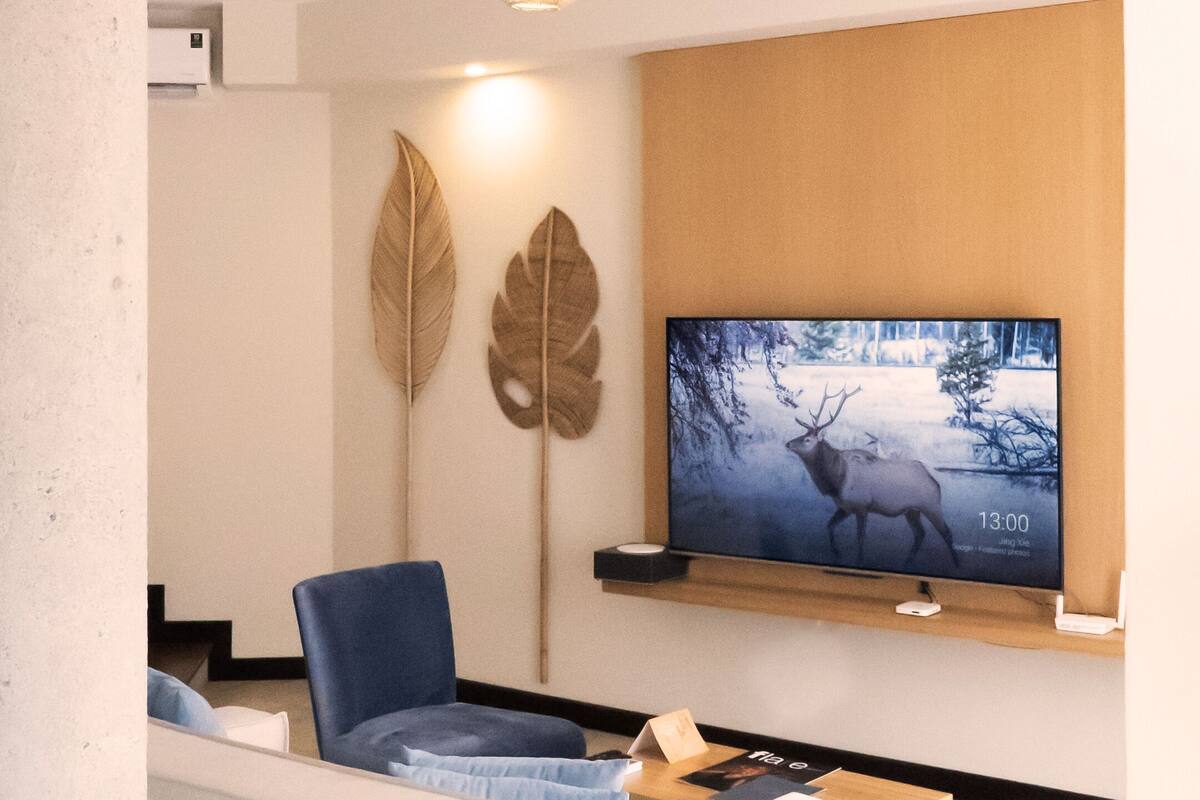 A modern living room with a white sofa, blue cushions, a mounted television displaying a deer, and a wooden panel wall.