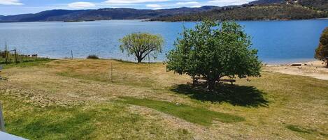 Vista al lago con una zona cubierta de césped, un árbol y una banca.