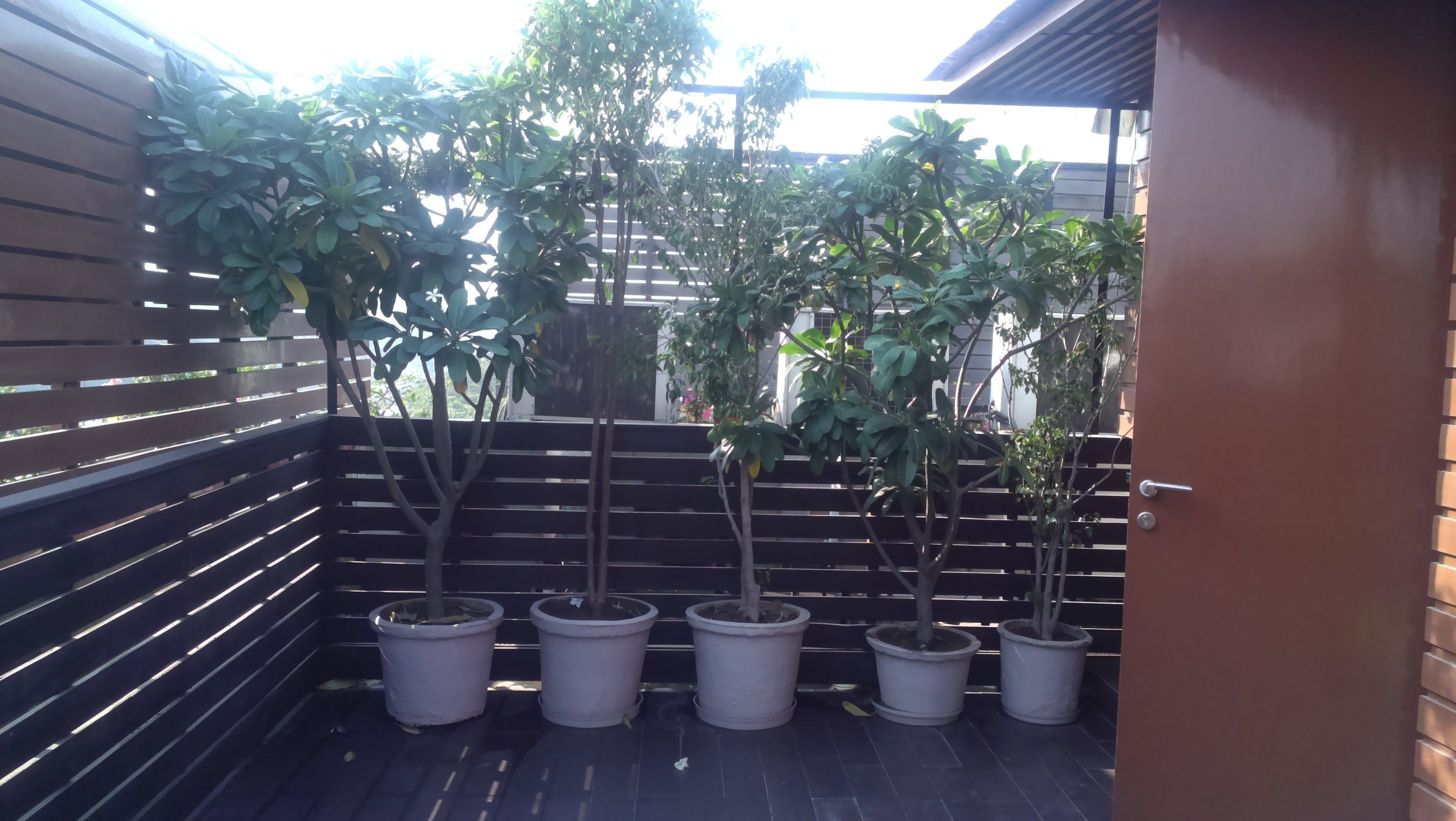 Photo - Udman Hotel Panchshila Park