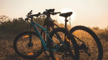 A bicycle leaning against a tree in a field during sunset.