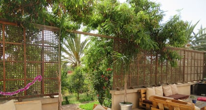 ibis Tlemcen
