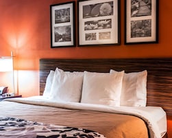 In-room safe, desk, iron/ironing board, free cribs/infant beds