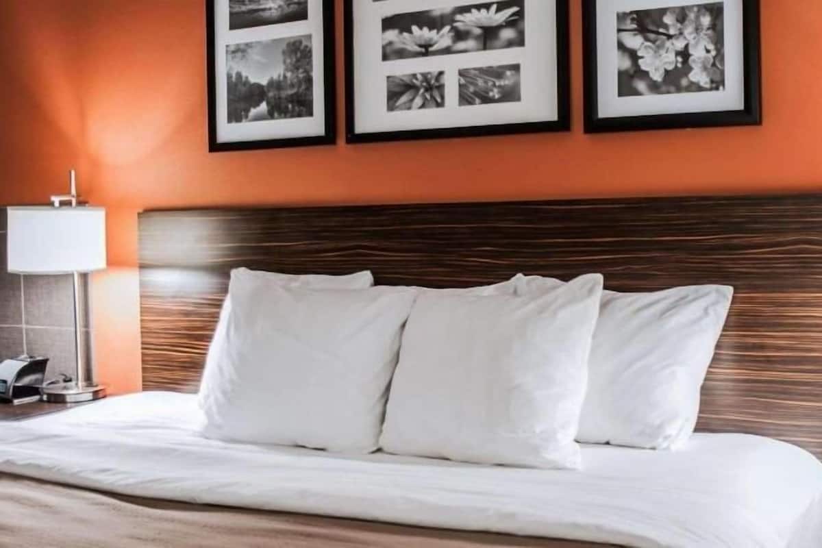 Habitación de hotel con cama, almohadillas blancas, cabecero de madera y cuadros en la pared.