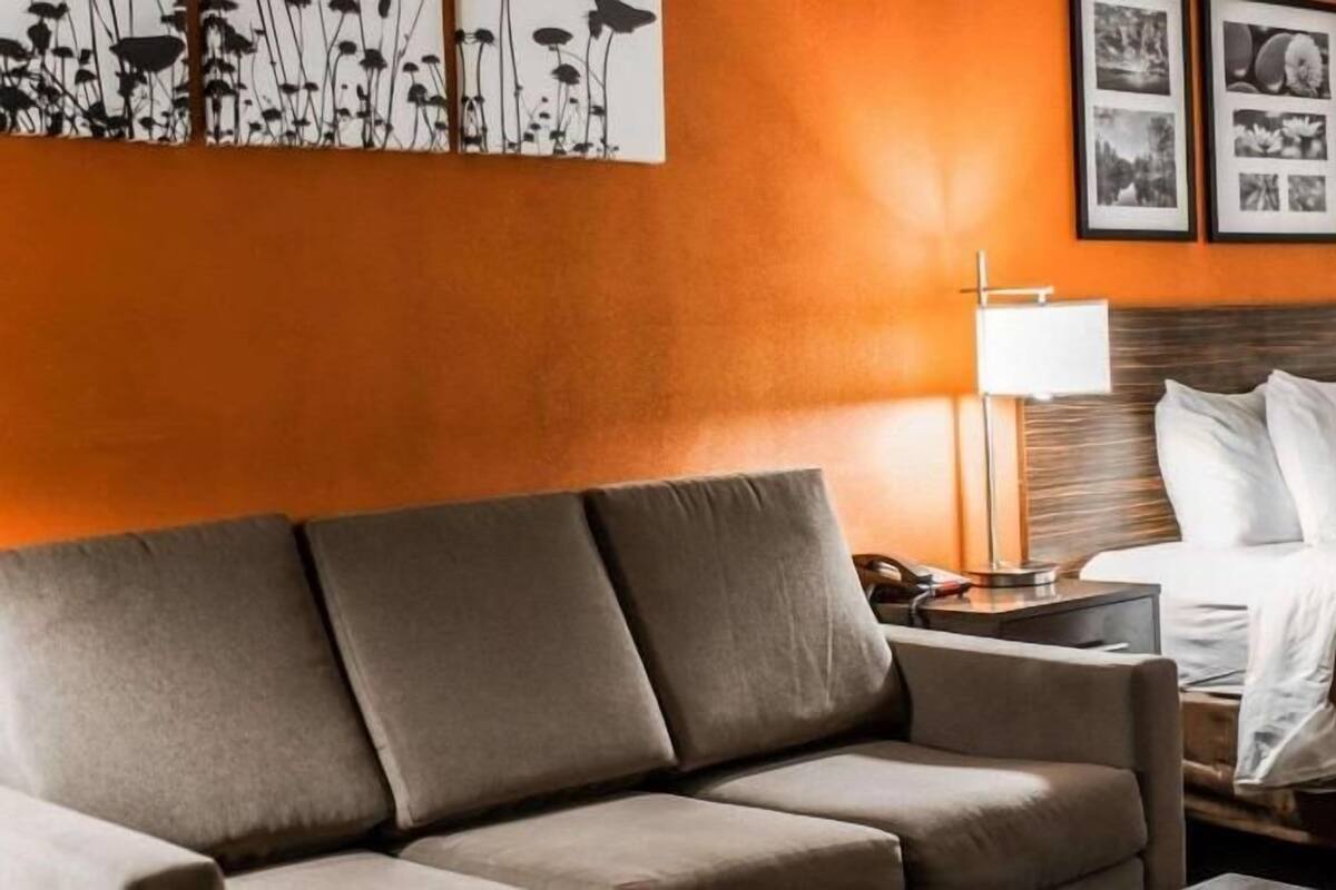 Habitación de hotel con sofá, cama con almohadas, mesita de noche, lámpara y cuadros en la pared.