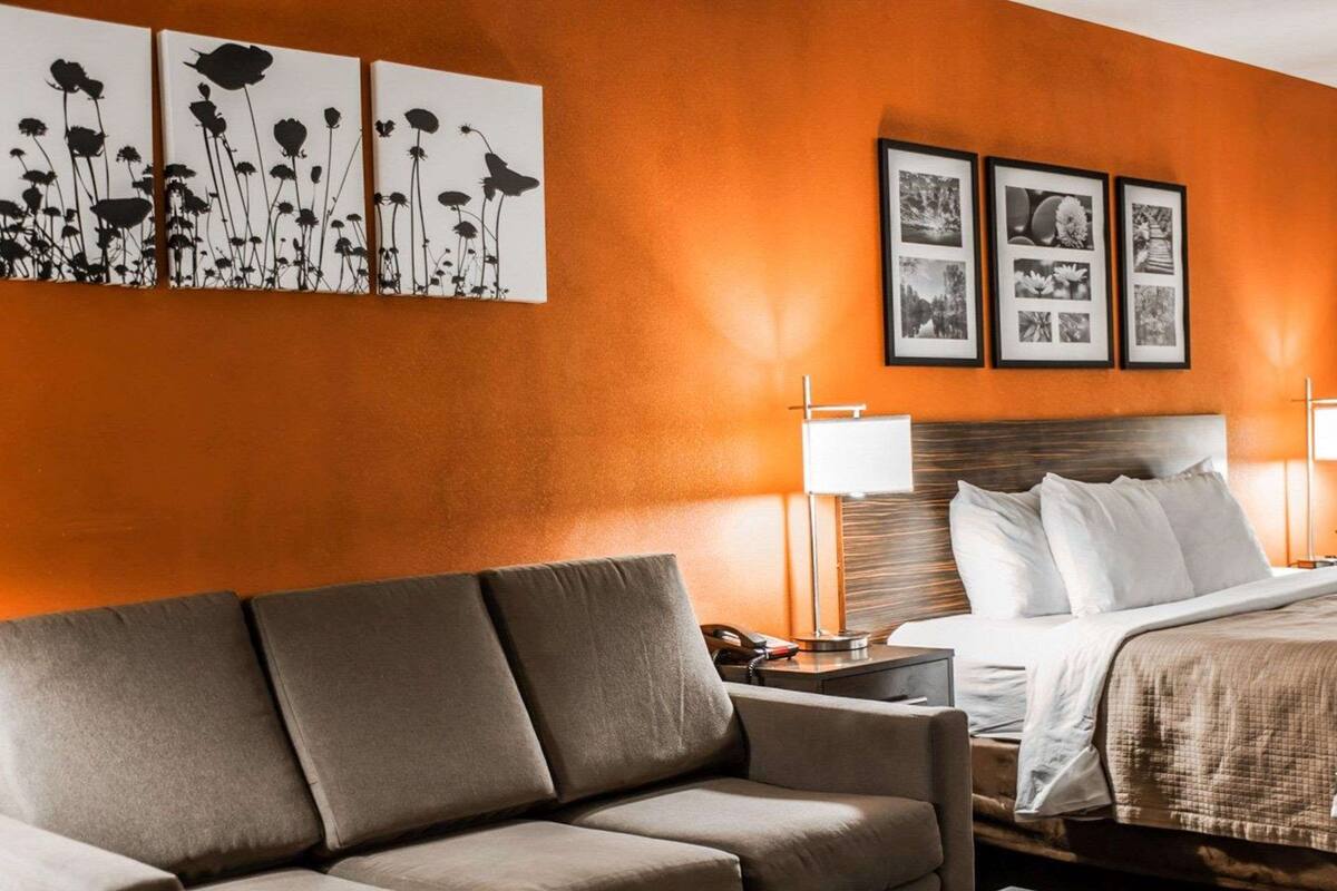 Una habitación de hotel con sofá, cama, mesita de noche y decoración en la pared.