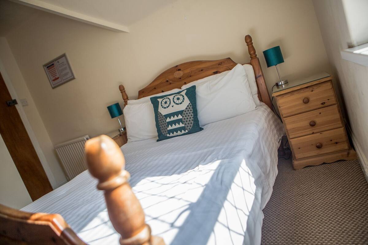 A bedroom with a wooden headboard, a bed with white bedding, a teal owl pillow, a wooden nightstand with a lamp, and a small wooden dresser.