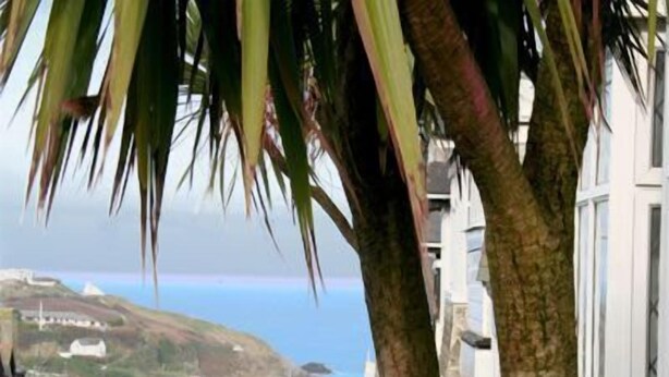 A coastal view with a building, palm trees, and a clear sky. - St Breca (Newquay)